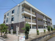 メイユール・Ａの画像