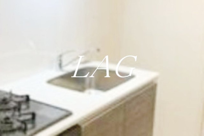 【その他】 | クレヴィスタ板橋ときわ台 | シンクです。