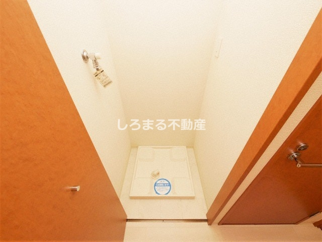 Ｌｏｉｓｉｒ　Ｋｕｓｕｎｏｋｉのその他