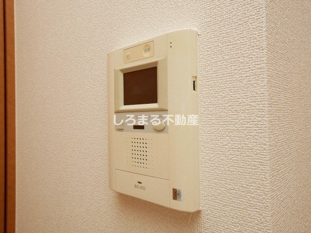 Ｌｏｉｓｉｒ　Ｋｕｓｕｎｏｋｉのセキュリティ