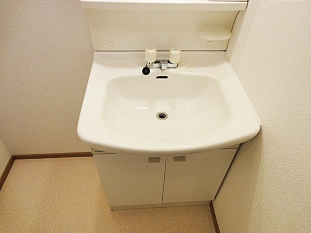 メゾンドルフの洗面所