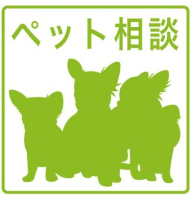 【エントランス】 | Tidy大江【名古屋市賃貸・ペット可】