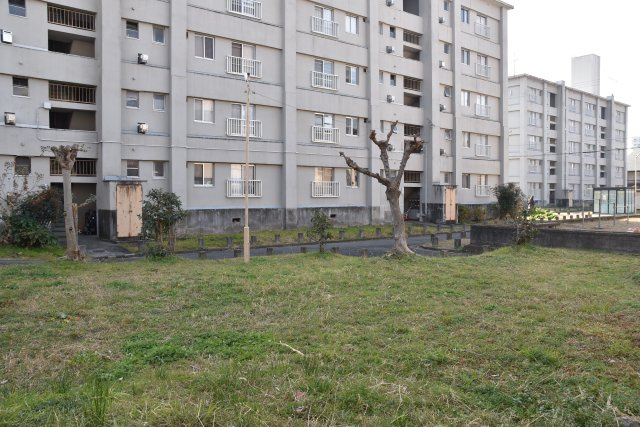 鞍馬口駅6分 護りたい、愛しの小町家の周辺|敷地南側には芝生広場が広がります