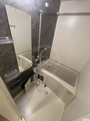 MELDIA CREST TAPP NAMBA-WESTの浴室|MELDIA　CREST　TAPP難波WEST（メディアクレストタップ難波ウエスト）　風呂