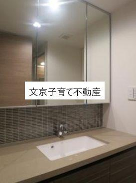 ザ・パークハビオ早稲田の洗面所