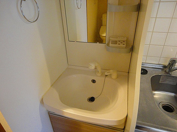 シッタビスタ神戸下山手通の洗面所