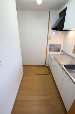 【その他】 | フラン・ラフレシールⅠ | キッチンスぺース