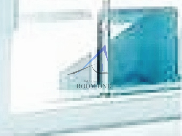 エリゼ綾瀬のその他