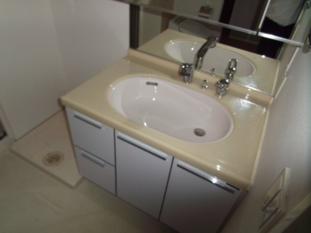 ワコーレ神戸北野セリュックスの洗面所