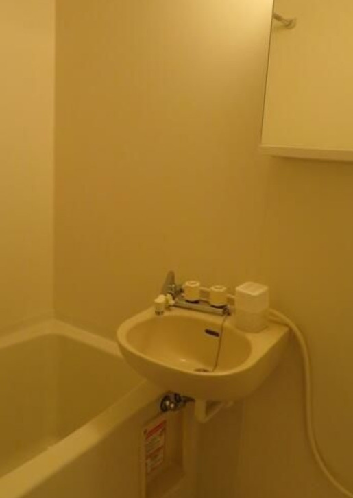 リースランド十条の洗面所