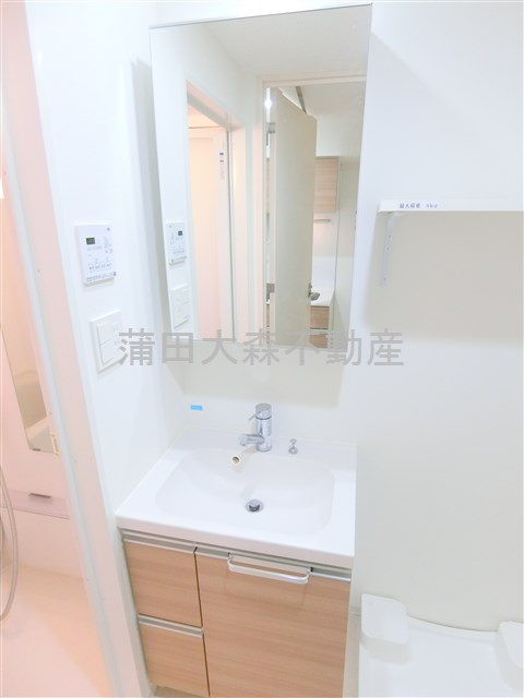 リテラス蒲田の洗面所