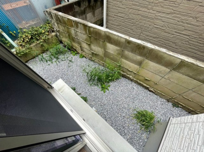 【庭】 | 足立区江北3丁目戸建