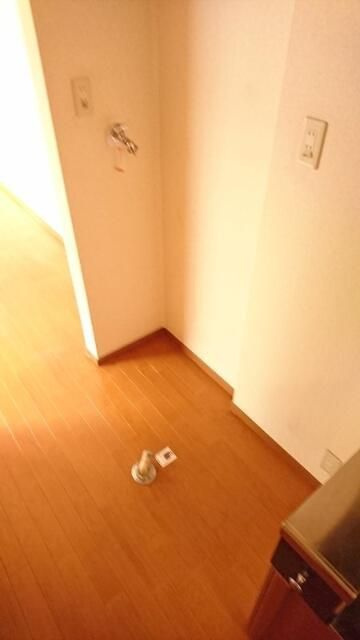 ドゥポンスのその他