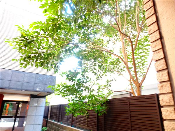 ベルメゾン幡ヶ谷の展望