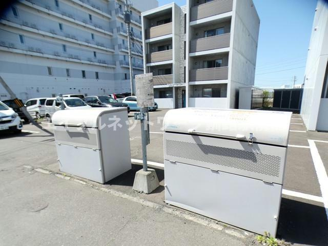 セントポプラのその他