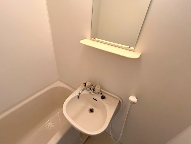 ノルデンハイム上新庄2の浴室