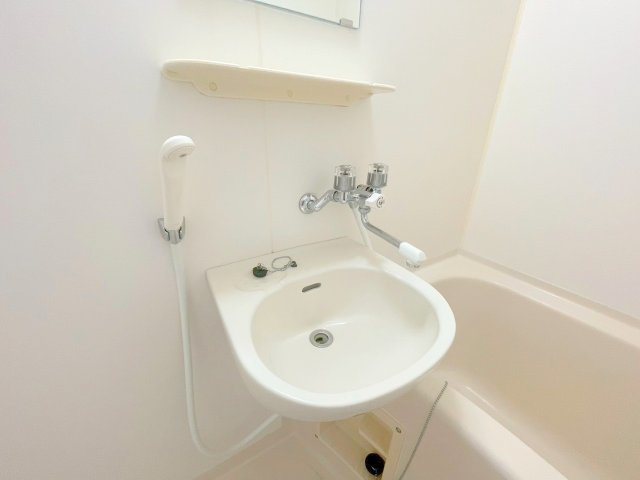 ノルデンハイム新北野の洗面所