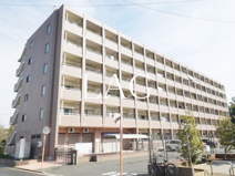 オリーブ　コート塚田の画像