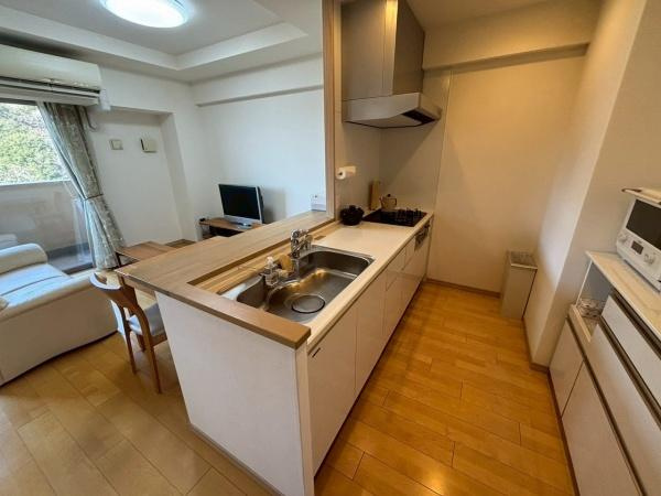 アリストふじと台ステーションファーストのキッチン