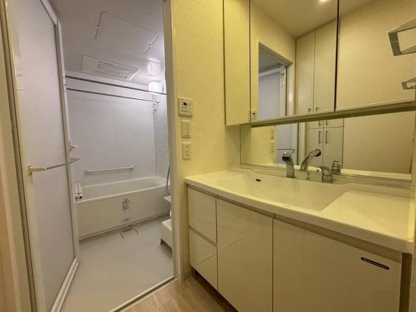 アリストふじと台ステーションファーストの独立洗面台