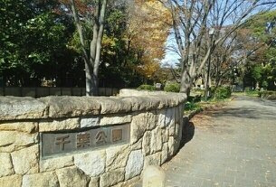 【周辺】 | カーム・ハイツ | 千葉公園まで770m