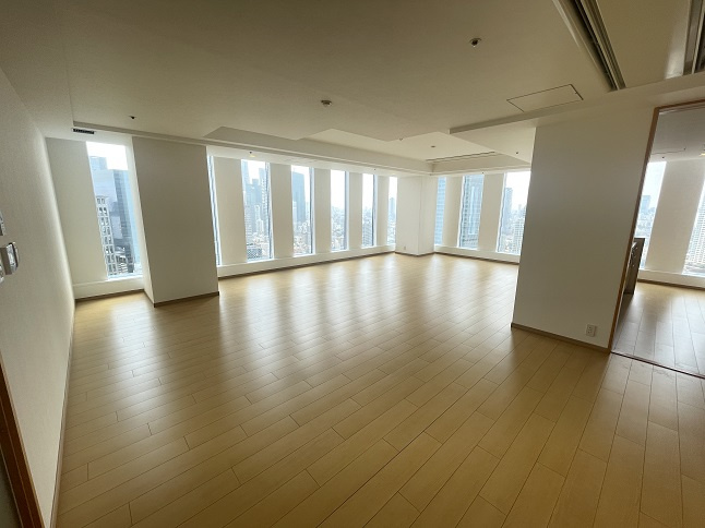 千代田区永田町２丁目の賃貸マンションのその他|リビング