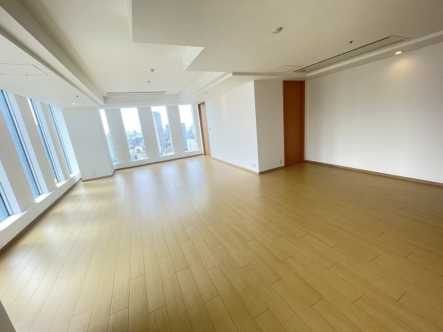 千代田区永田町２丁目の賃貸マンションのその他|リビング