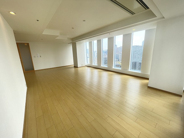 千代田区永田町２丁目の賃貸マンションのその他|リビング