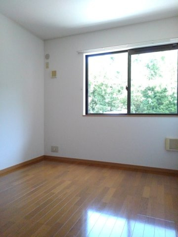 ピネストピア伊形の内装