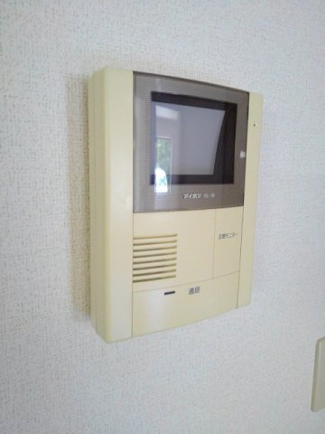 ピネストピア伊形のセキュリティ