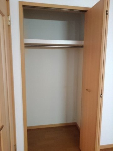 ピネストピア伊形のその他