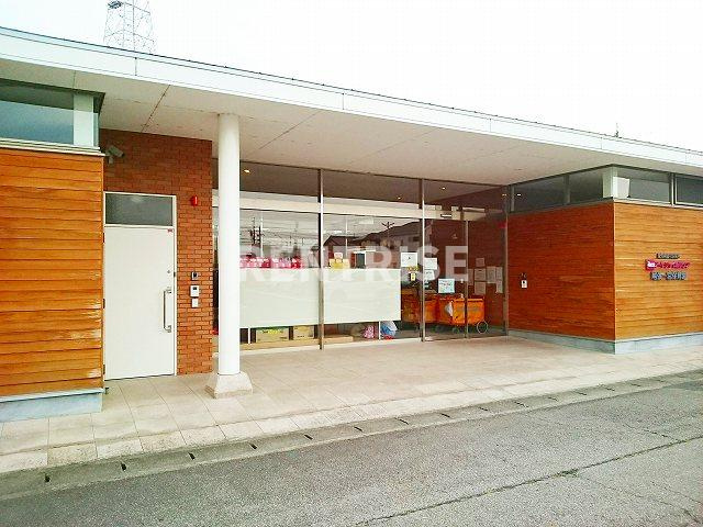 セントポーリアＡのその他|その他