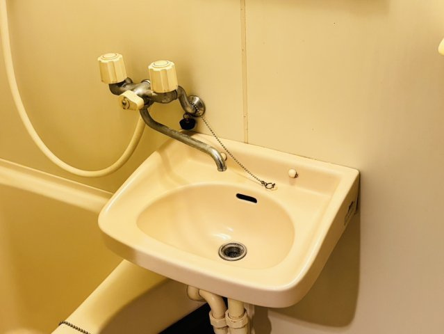 メゾンドロイヤルの洗面所|別号数タイプ