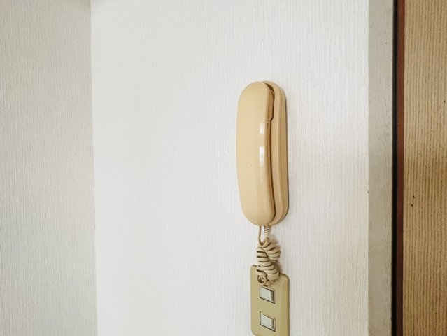 メゾンドロイヤルのセキュリティ|別号数タイプ