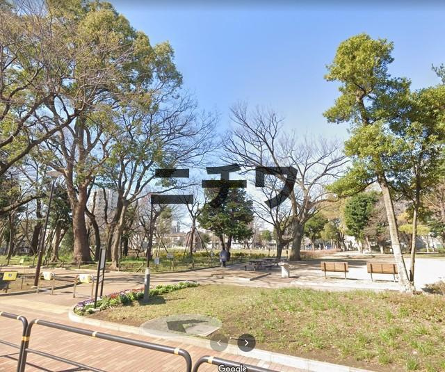 Ｊアズーリのその他|文庫の森