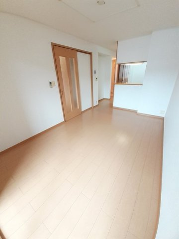 ミドルリアサニーのその他