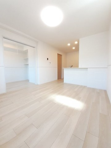 フェリス　ガト　Ａのその他