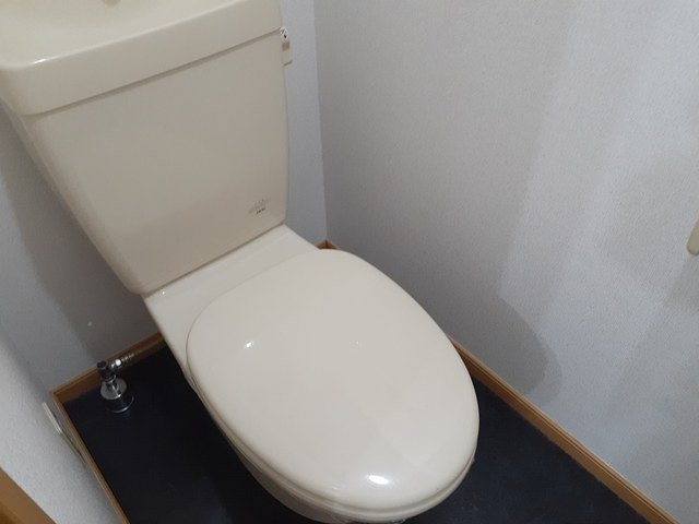 グラデュエートレジデンスのトイレ