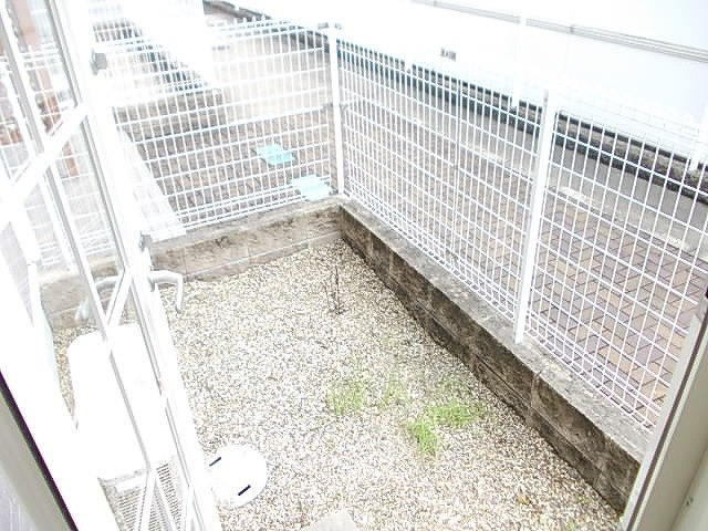 ドゥー　ジャンの庭