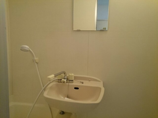 ラフィネアルブルの洗面所