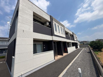 ロングパインの画像