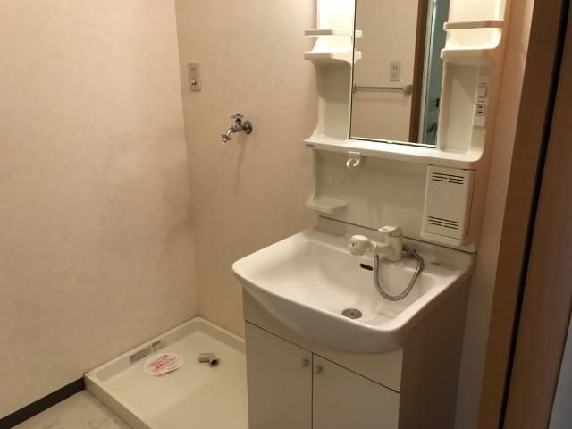 スカイハイツ野田の洗面所|洗面