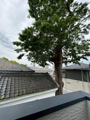 テラス 神戸市東灘区西岡本４丁目の展望