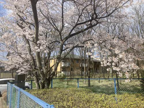 メゾンドクレールの外観パース