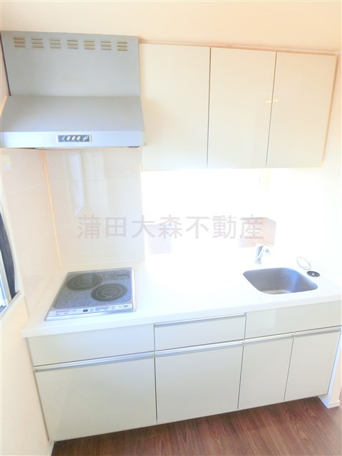 プレディアスタイル池上南WESTのキッチン|2口IHシステムキッチン　カウンターキッチン