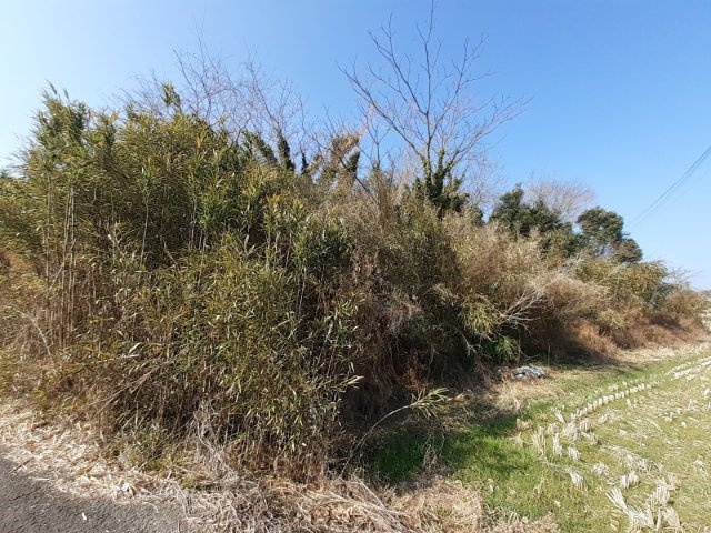 宇土市走潟町の売地の外観