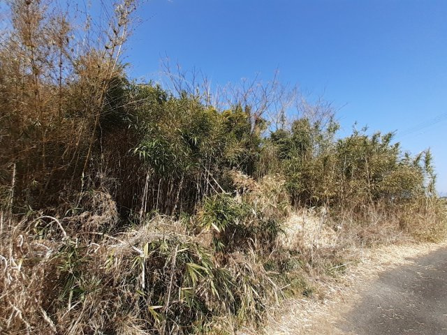 宇土市走潟町の売地の外観