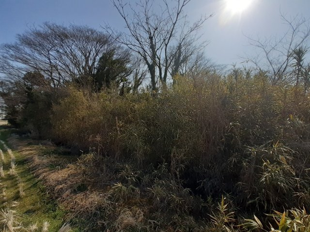 宇土市走潟町の売地の外観