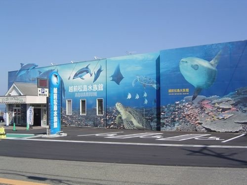 カ－サ　ヒルズ　Ⅱの周辺|越前松島水族館まで1700m