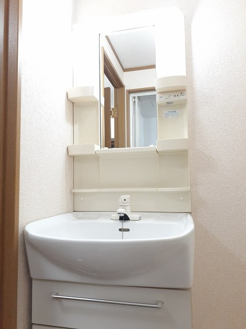 ネオ・グランツの洗面所|洗面所